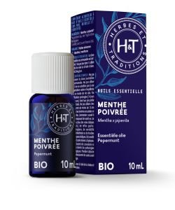 Menthe poivrée (Mentha X piperita)